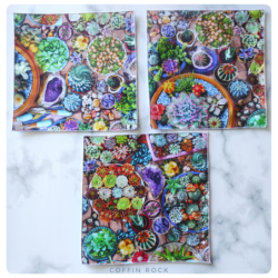 succulentes et cristaux : mouchoirs en coton